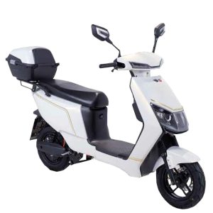 REE1500PRO-45 DEVIVERY RKS  - Λευκό